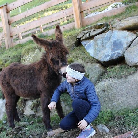 カディピエトラTexas Longhorn Ranch Neumannhofアパートメント エクステリア 写真